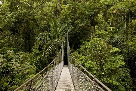 Lekki Conservation Centre Canopy Walkway